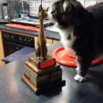 Lord Lasalle Coty 2017 kissing my trophy