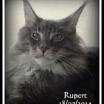 Rupert