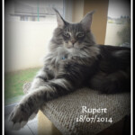 Rupert