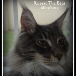 Rupert