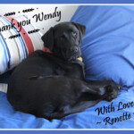 Wendy