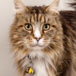 Bliss 07/11/2019 photo Ursula van der Riet Photography